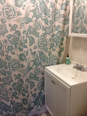 Rented by Picture Realty Inc. | media 32