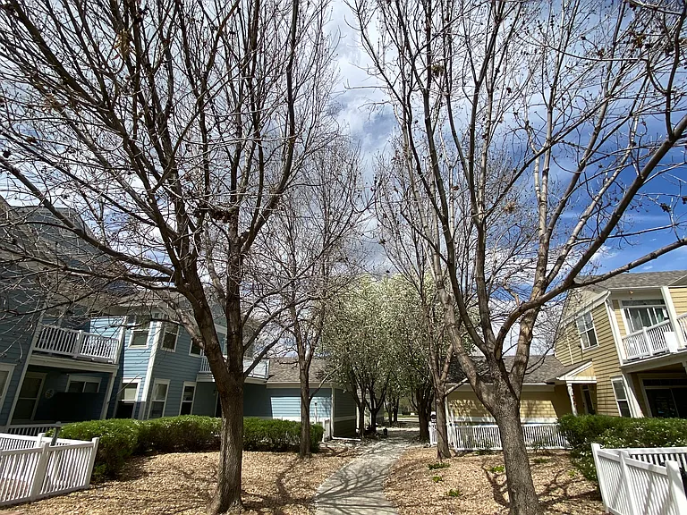 640 Gooseberry Dr #903 — Photo 18