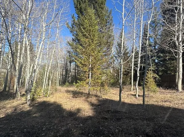 4788 Balsam St, Island Park, ID 83429