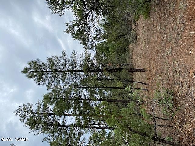 1st image of 3891 Sugar Pine Way