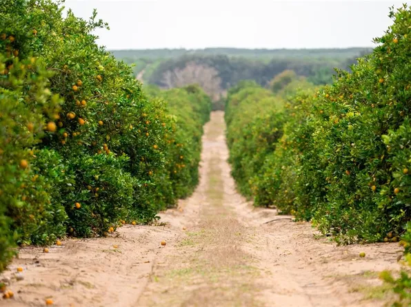 Oak Island Rd, Frostproof, FL 33843