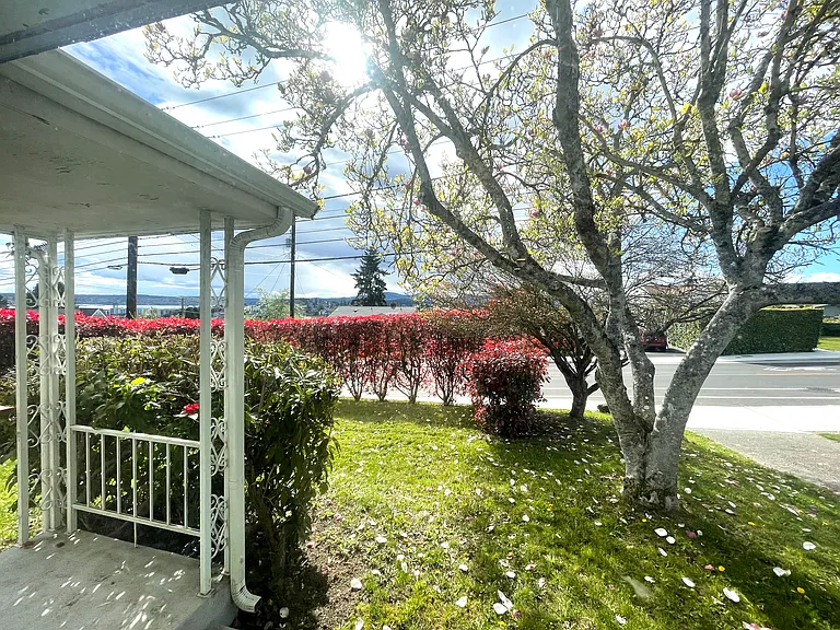 Front Yard