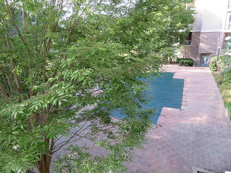 5565 Seminary Rd #208 — Photo 36