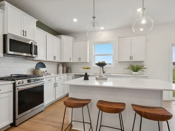 12177 Ivy St, Rogers, MN 55374