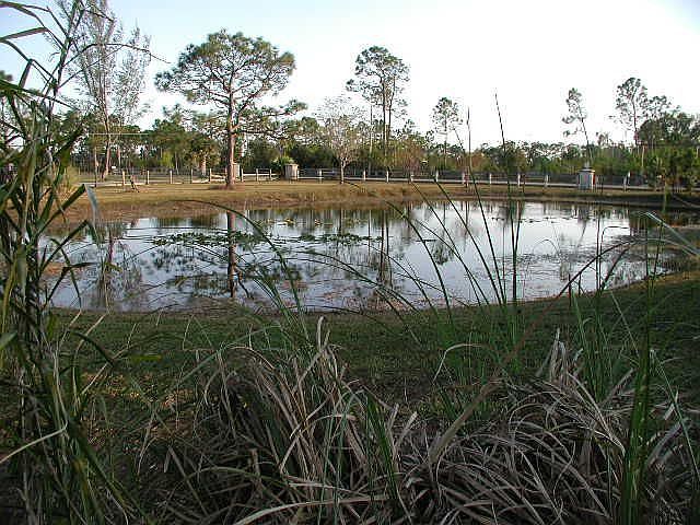 Your very own large stocked pond.  No more hunting a "great fishing spot"
