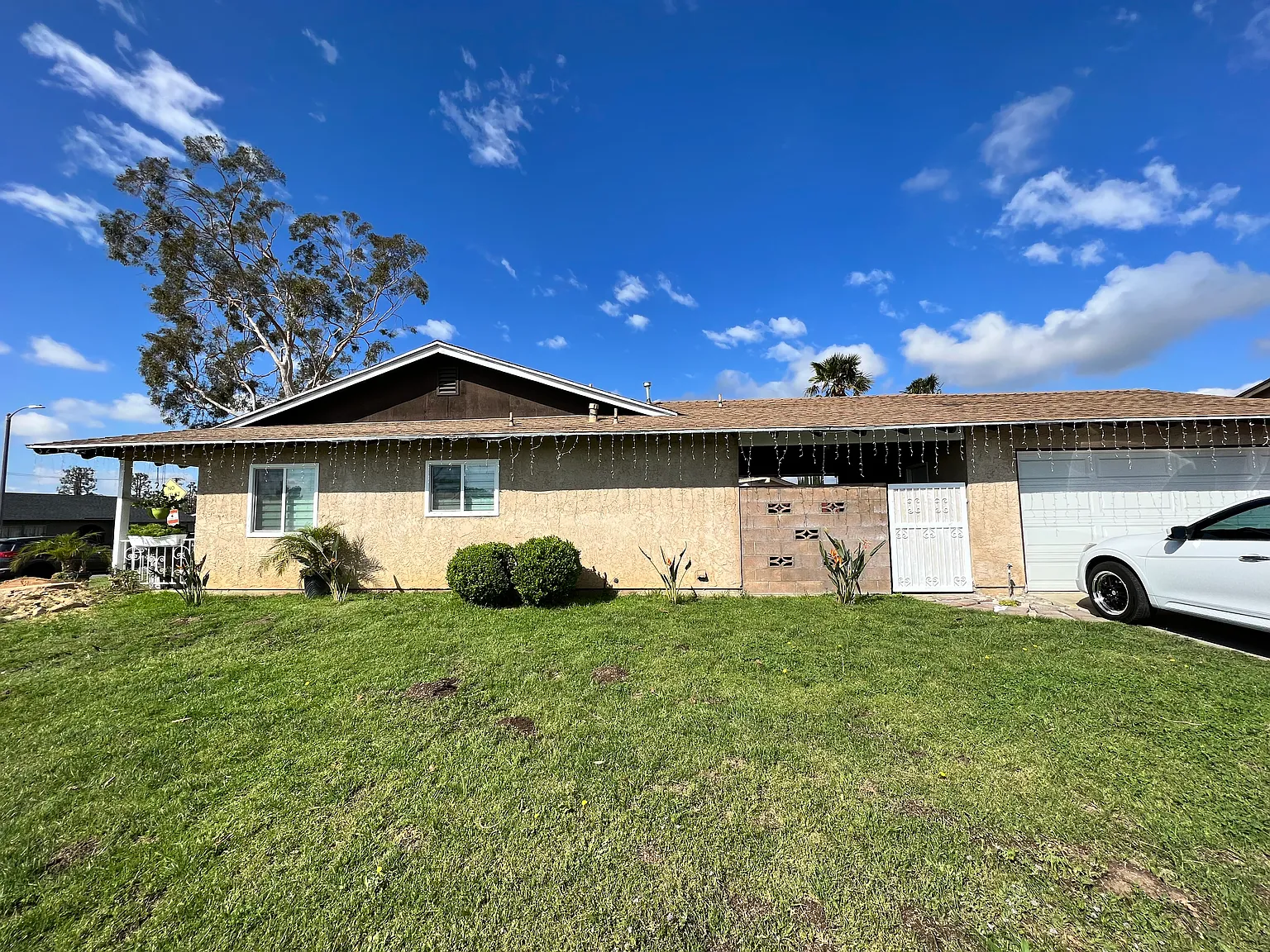 3 bed, 1256 sqft, $3,250 — Photo 4