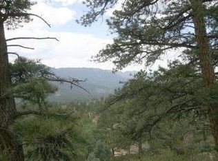 1505 S Ridge Rd, Bailey, CO 80421