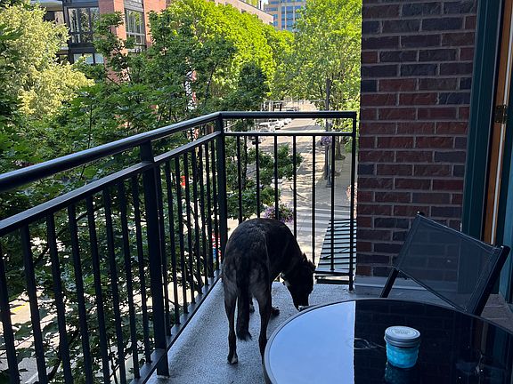 Balcony overlooking the park (dog not included)