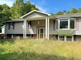 812 Rose Valley Rd, Cold Brook, NY 13324