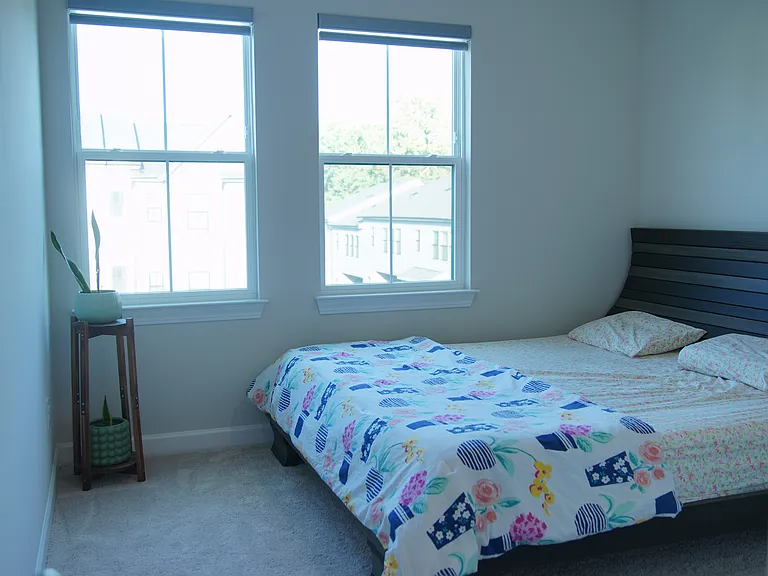 4709 Cypress Tree Ln — Photo 26