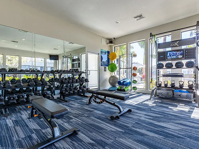 Avion at Carrollwood — Photo 16