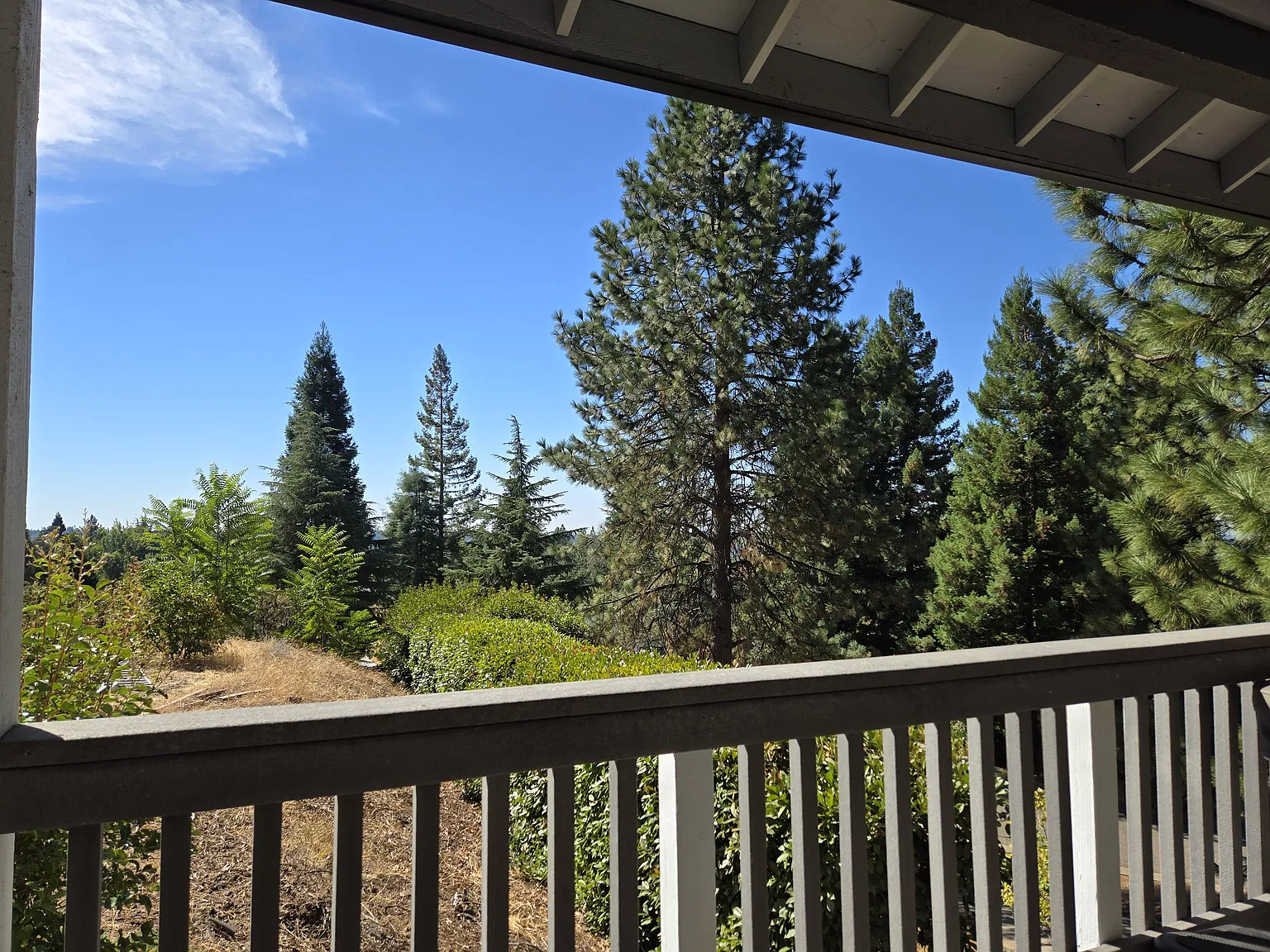 3 bed, 2309 sqft, $2,950 — Photo 3