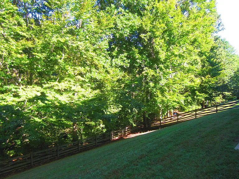 12990 Pintail Rd — Photo 26