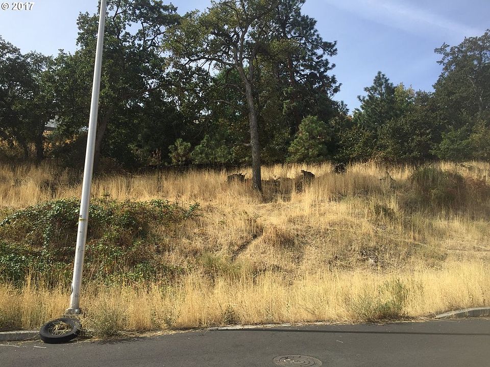2nd image of 2324 W 12th St #Lot18