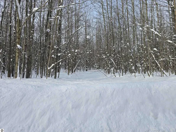 0 Cinder Hill Rd, Mancelona, MI 49659