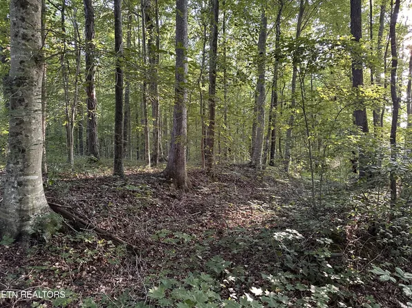 1653 Riverton Rd, Jamestown, TN 38556