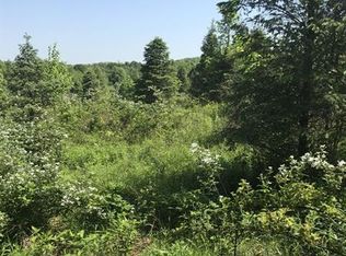 0 Urban Rd, Conemaugh/Young Twps, PA 15681