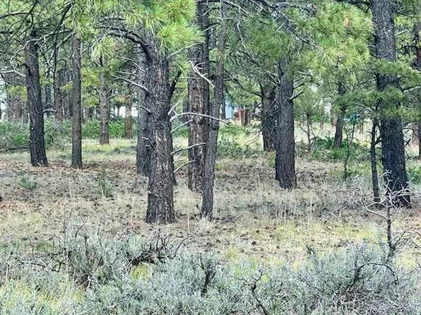 1627 West View Road, Pagosa Springs, CO 81147