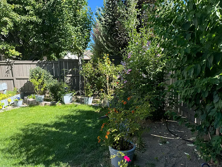 13725 Seabiscuit Dr — Photo 28