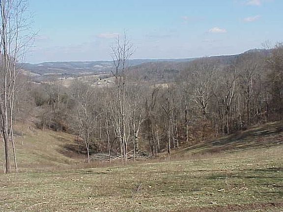 pasture in back of property