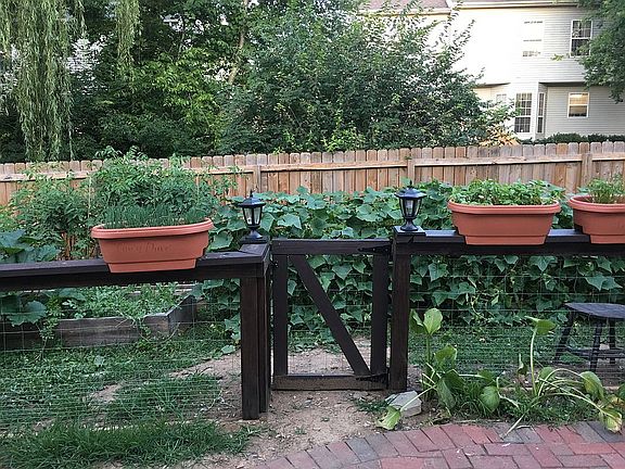 Backyard garden