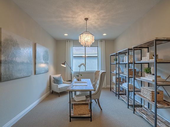 Model Representation