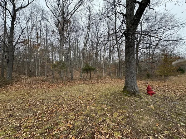 0 Rustling Oaks Dr Lot 76, Waverly, TN 37185