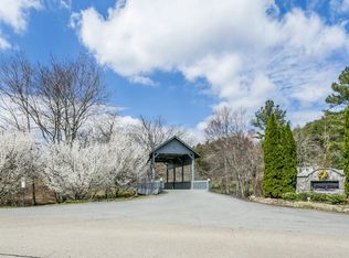 54 Goose Island Rd, Cherry Log, GA 30522