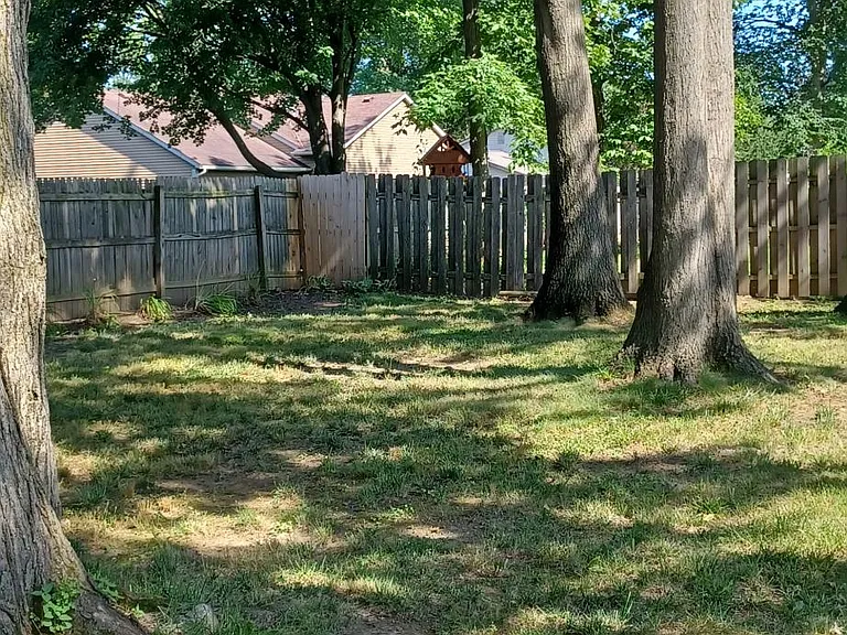 959 Windbourne St — Photo 15
