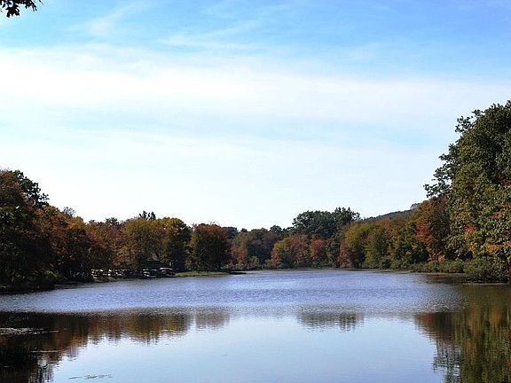 2 Beechwood for Patch