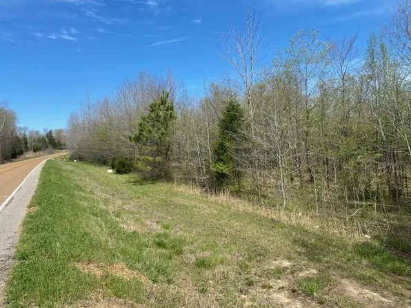 LOT 8 Highway 69, Morris Chapel, TN 38361