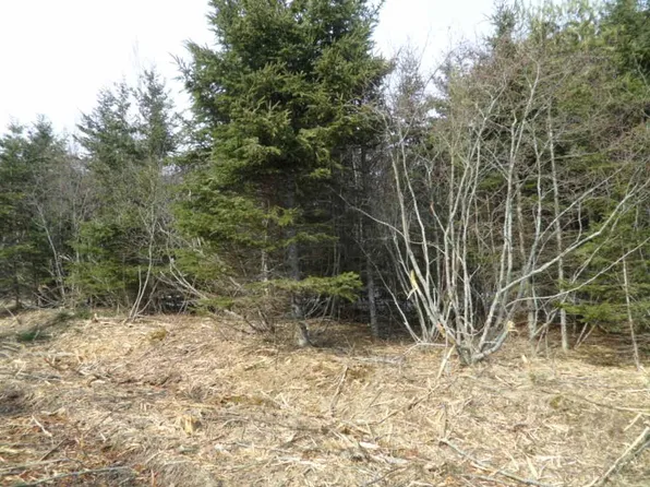 1V Highway 224, Elmsvale, NS B0N 1X0