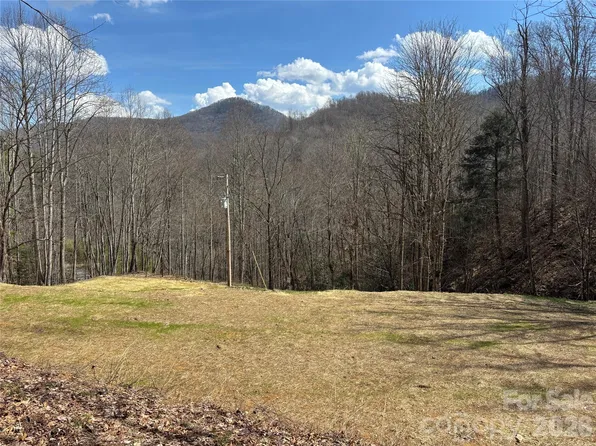 S Lot Meadow Fork Rd, Hot Springs, NC 28743
