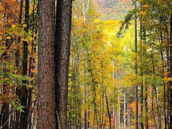 0 Plank Rd, Natural Bridge, VA 24578