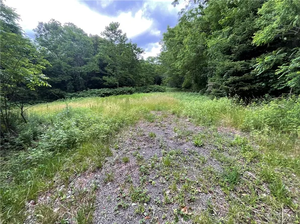 7537 East Ave Lot 61, Springwater, NY 14560