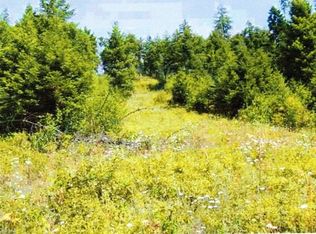 248 Shiloh Loop, Naples, ID 83847