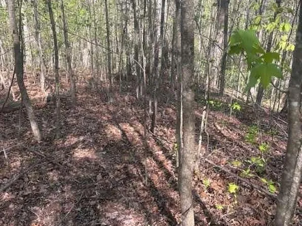 0 Heatherwood Way, Talking Rock, GA 30175