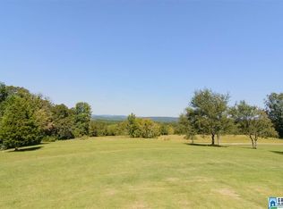 391 Elmer Dempsey Rd, Oneonta, AL 35121