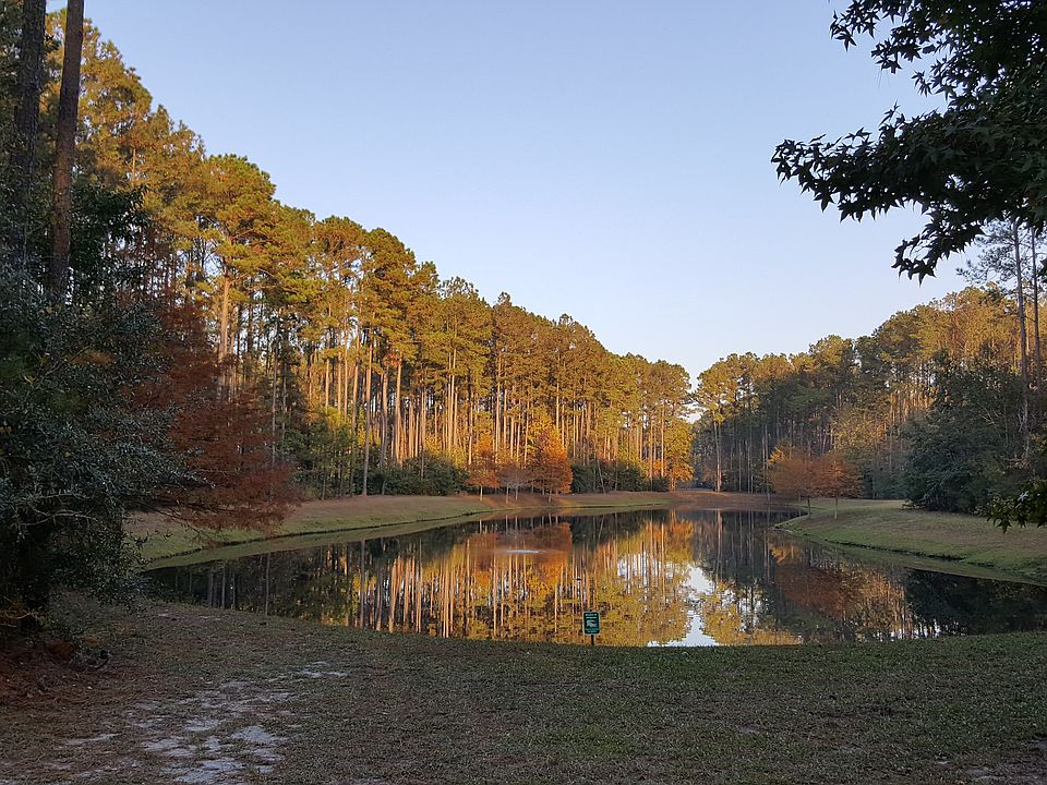 Long view from rear of lot