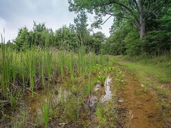 4th image of 115 Baudy James Rd