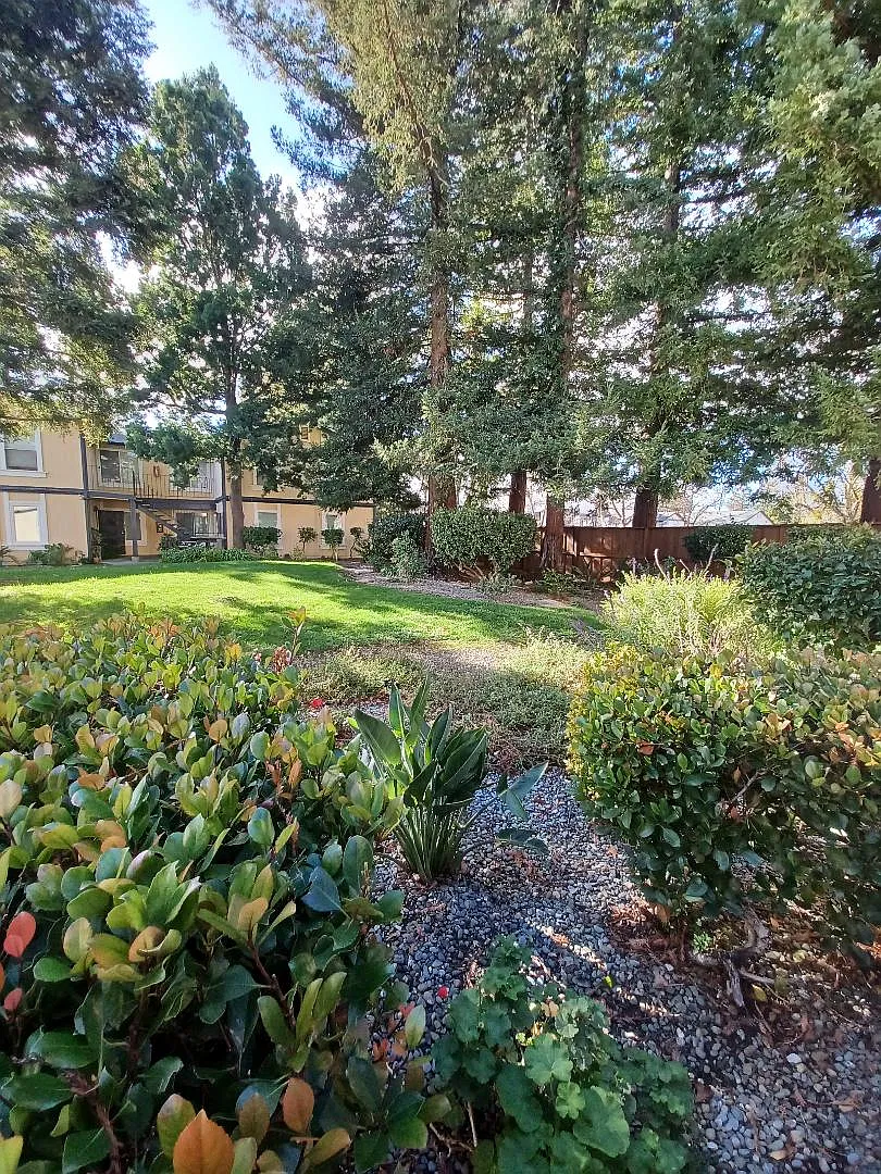 3 bed, 1056 sqft, $2,950 — Photo 2