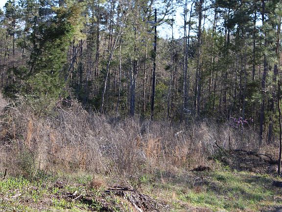 4th image of County Road 1627