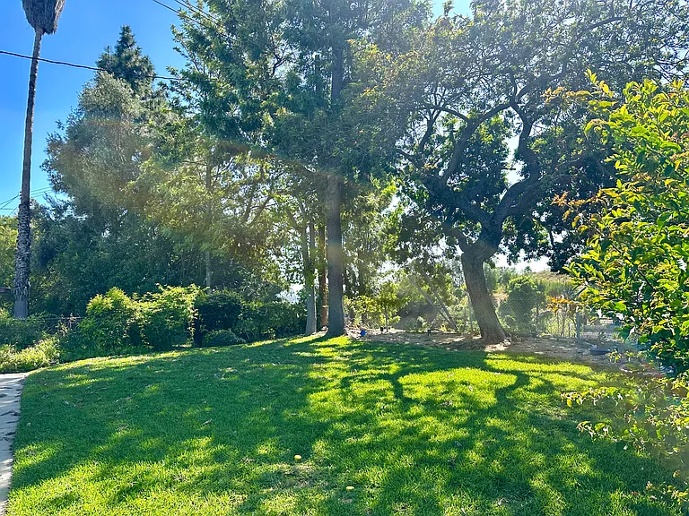 248 Bloom Dr — Photo 26