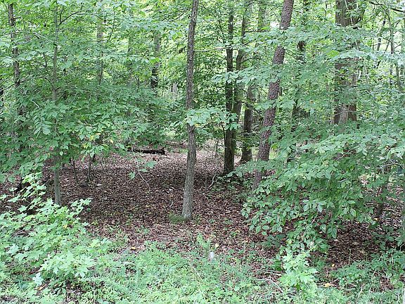 5th image of 0 Horsehead Rd