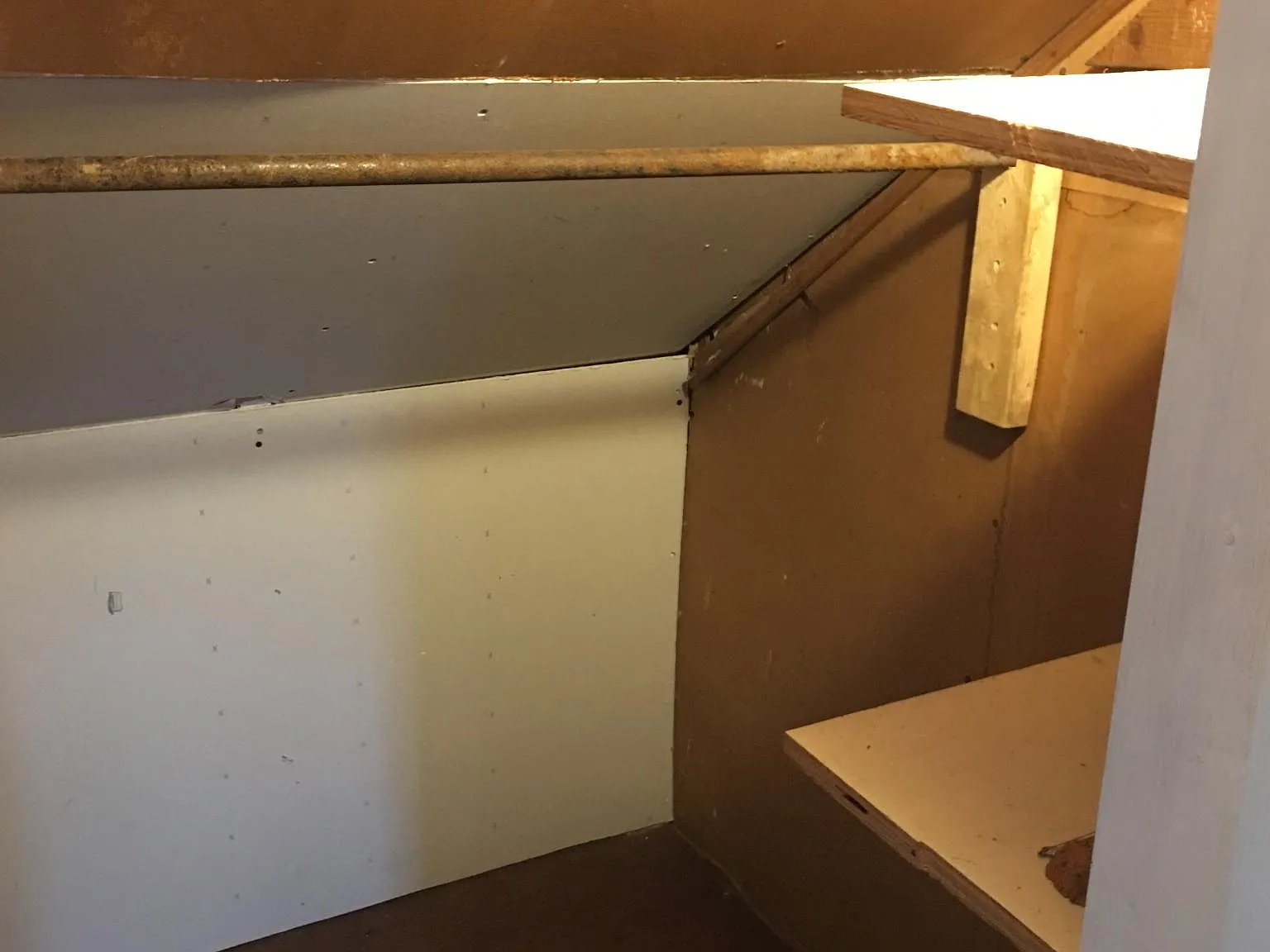 1 bed, 800 sqft, $995 — Photo 3