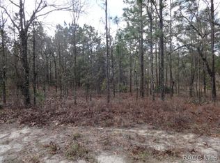 33 Fringetree St, Homosassa, FL 34446