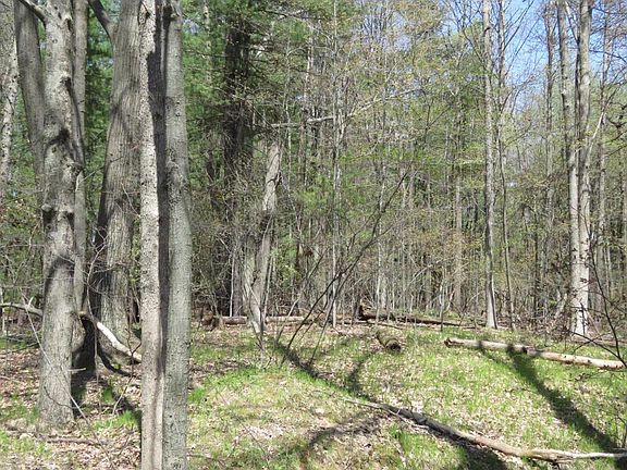 4th image of 16500 Lake Shore Dr