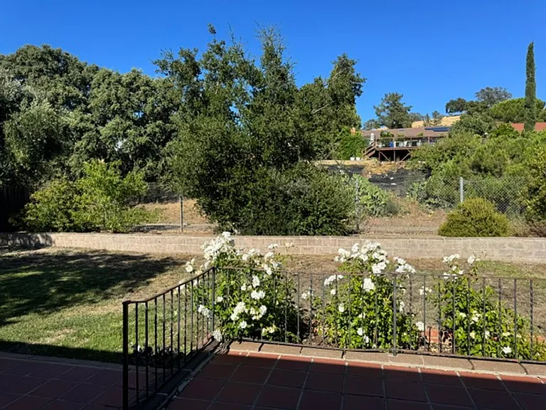 3653 Citrus Ave — Photo 20