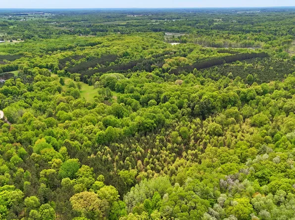 80/- Acres V L 140th Ave, Stanwood, MI 49346