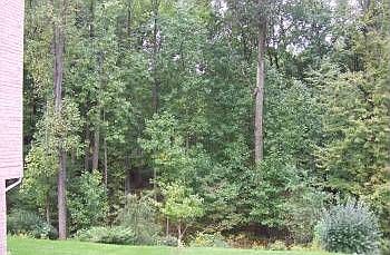 5th image of 9105 Lucky Estates Dr